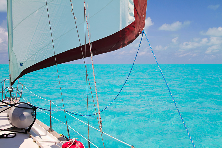 Sailing-Blog-Cruising-Bahamas-Caribbean-Conch-Shell-King-Helmet-Conch-Photos-LAHOWIND-Bimini-Sailboat-Adventure-2015-eIMG_6765
