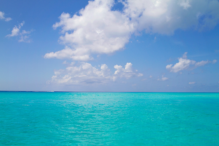 Sailing-Blog-Cruising-Bahamas-Caribbean-Conch-Shell-King-Helmet-Conch-Photos-LAHOWIND-Bimini-Sailboat-Adventure-2015-eIMG_6812