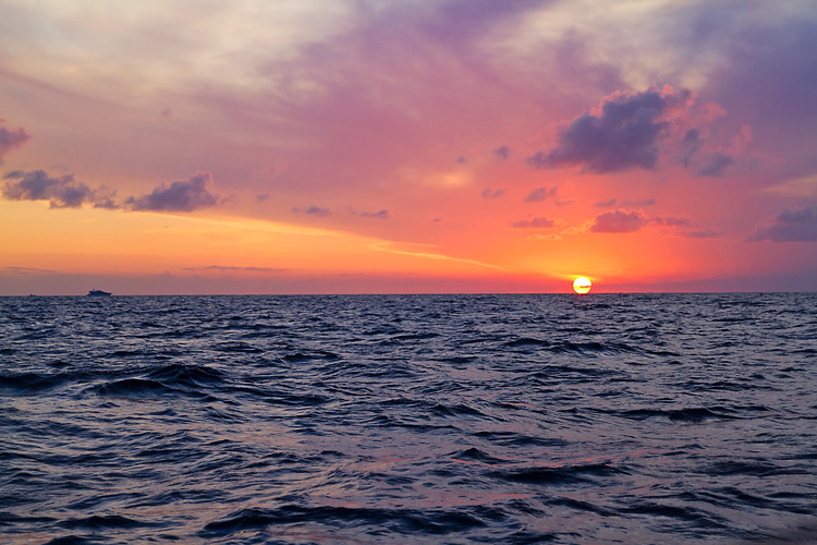Sailing-Blog-Cruising-Bahamas-Caribbean-Gulf-Stream-Crossing-Bimini-to-Marathon-Florida-Keys-LAHOWIND-Sailboat-Overnight-Passage-2015-Pilot-Whales-Dolphin-Photos-eIMG_6754