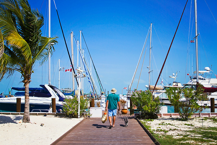 Sailing-Blog-Cruising-Bahamas-Bimini-Dog-Young-Couple-LAHOWIND-eIMG_1494