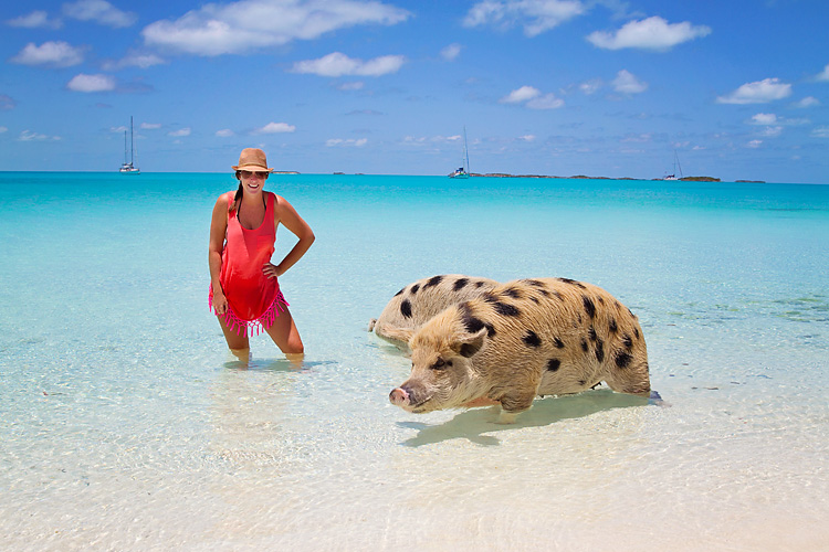 Sailing-Blog-Cruising-Bahamas-Caribbean-Exumas-Big-Major-Spot-Staniel-Cay-Pig-Beach-Swim-With-the-Pigs-LAHOWIND-eIMG_4188