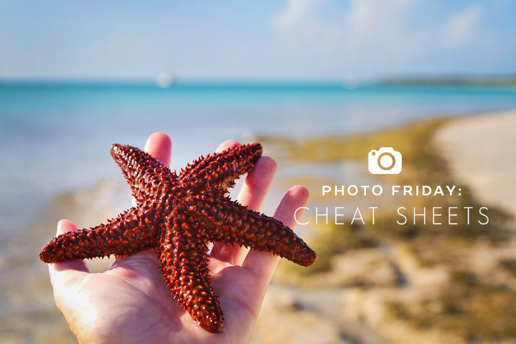 Sailing-Blog-Cruising-Bahamas-Caribbean-Photo-Friday-Boat-Dog-Photo-Tips-Guide-to-ISO-Photoshop-Keyboard-Shortcuts-Cheat-Sheets-LAHOWIND