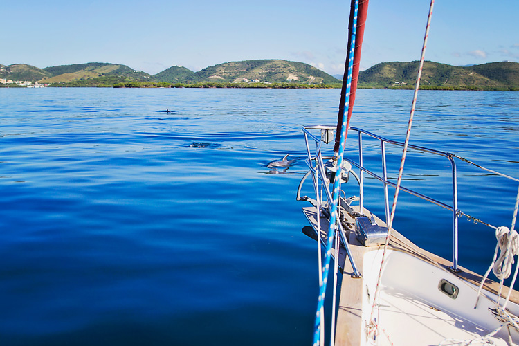 Sailing-Blog-Cruising-Caribbean-Puerto-Rico-La-Parguera-Cayo-Enriquee-Dolphin-Photos-Sailboat-LAHOWIND-eIMG_3998