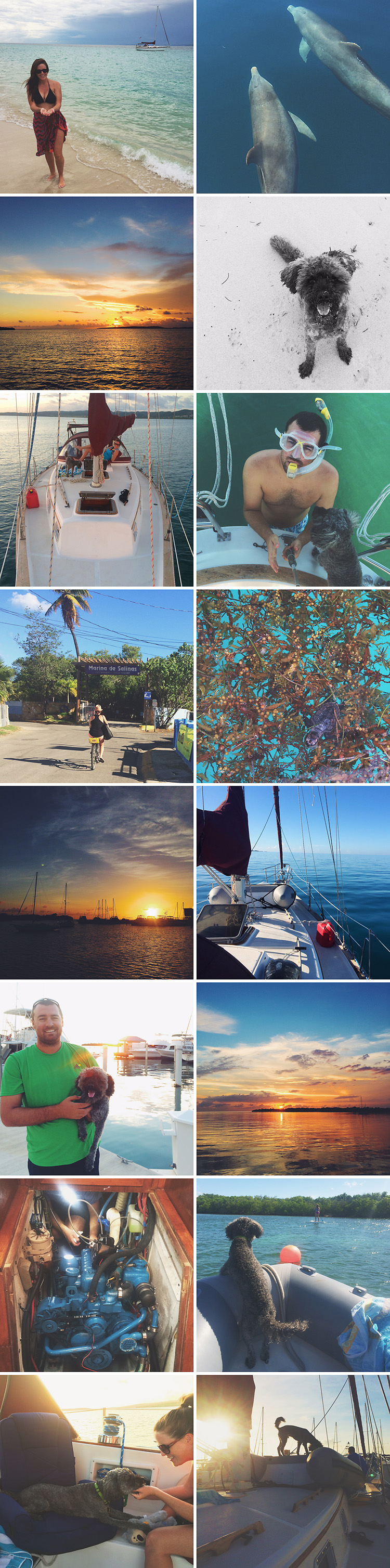 Sailing-Blog-Cruising-Caribbean-Puerto-Rico-Life-Afloat-Boat-Dog-Sailboat-Lahowind-Boat-Life-Lately-November-2014b
