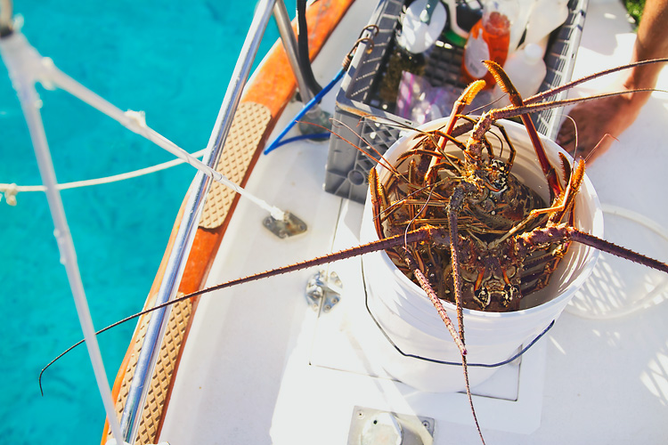 Sailing-Blog-Cruising-Caribbean-USVI-St.-Thomas-Lobster-Hunting-Diving-Photos-LAHOWIND-Young-Couple-Boat-Life-eIMG_7647
