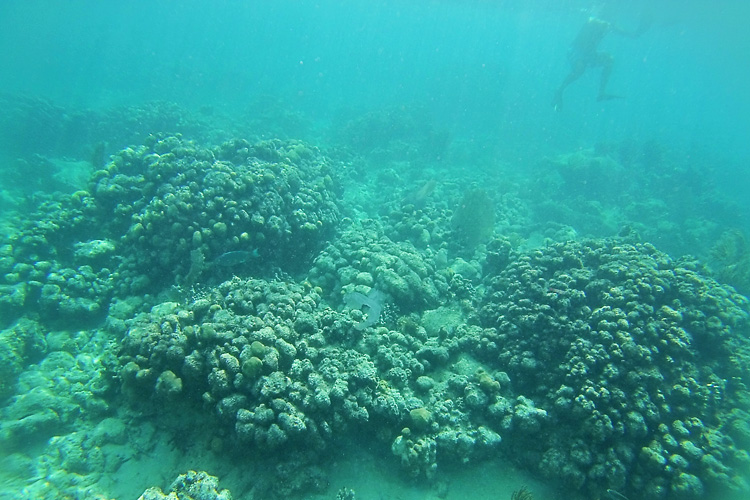 Snorkel Pitstop. | LAHOWIND